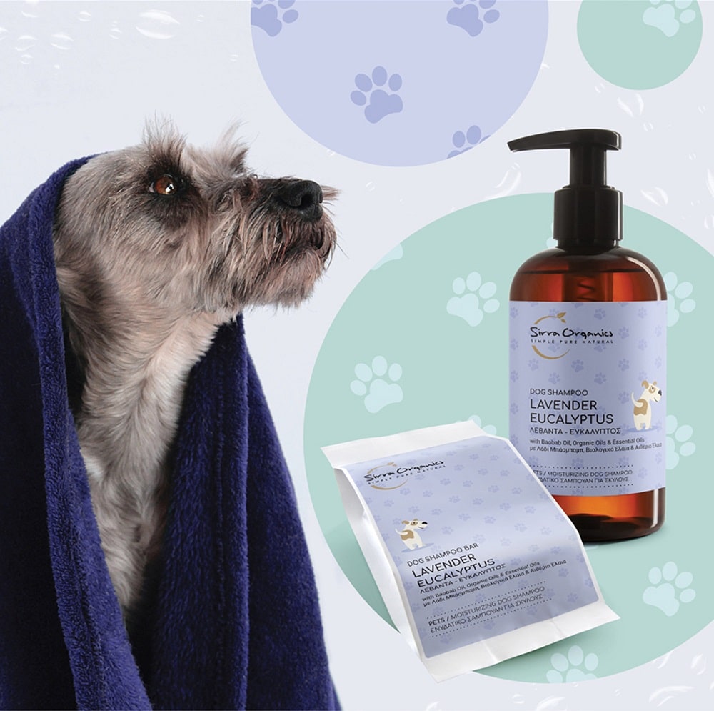Hundeseife und Hundeschampoo Premium QUalität