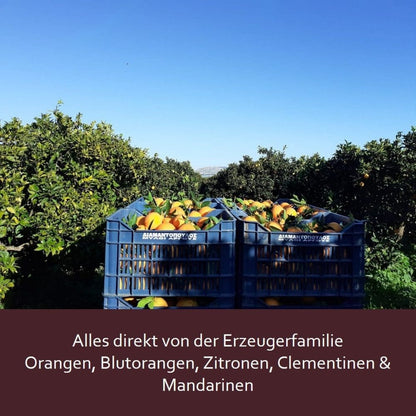 Aristos Orangen direkt vom Erzeuger