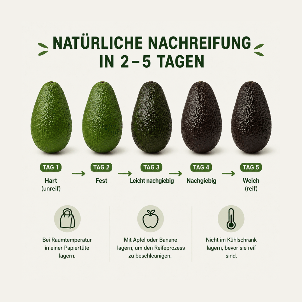 Bio Avocados aus Griechenland "lamb-hass" 1 kg genussreif in 2-3 Tagen