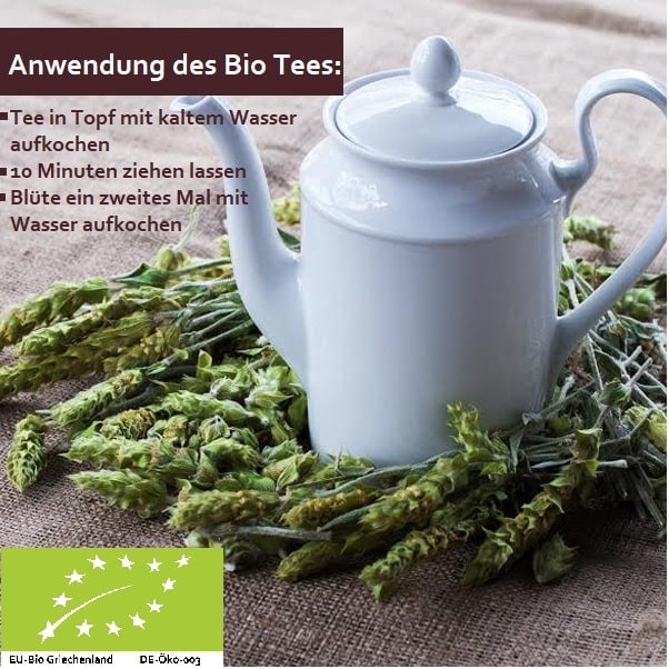 Bio Bergtee von Aristos kalt ansetzen