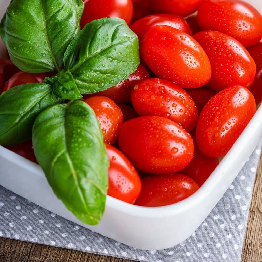 Bio Kirschtomaten mit Basilikum