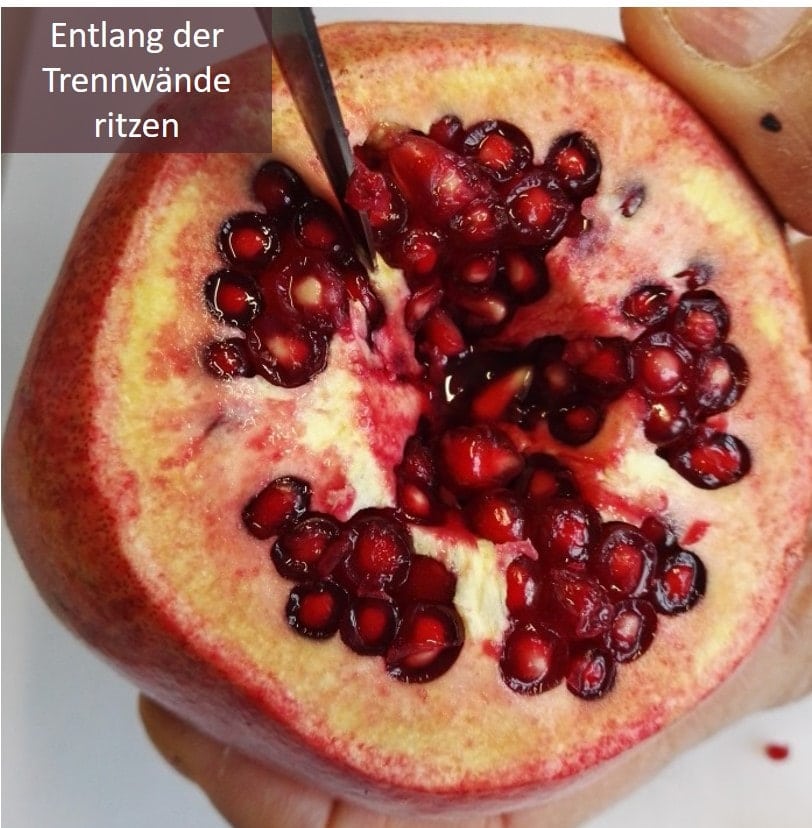 Granatapfel Entlang der Trennwände ritzen