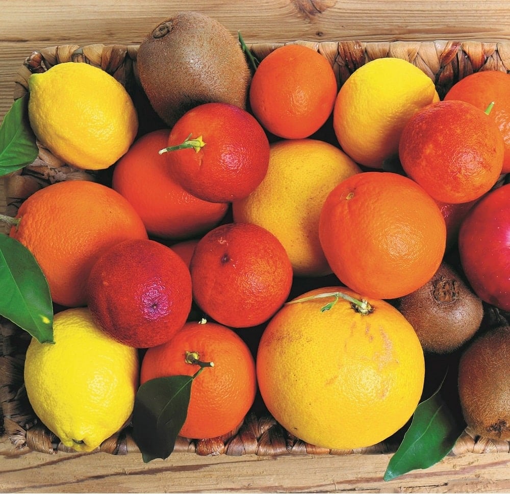 Griechische Früchte mix online kaufen