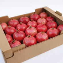 Bio Granatapfel Sorte Acco Kreta