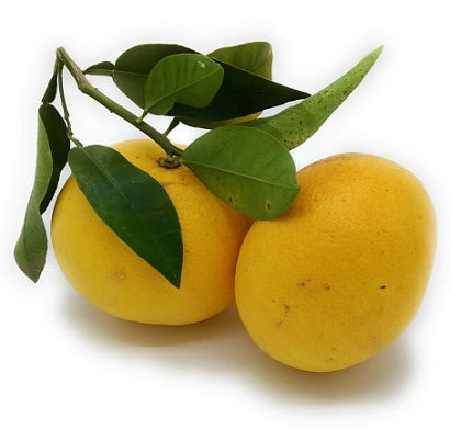 Grapefruits