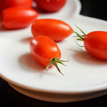 Bio Kirschtomaten aus Griechenland