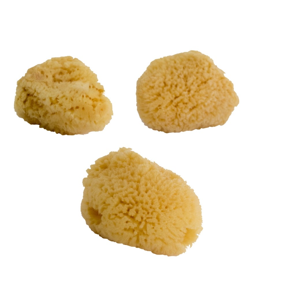 Kosmetikschwamm Naturschwamm