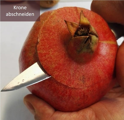 Krone von Granatapfel abschneiden