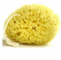 Mediterraner Naturschwamm Kapadiko weiß weichere Textur