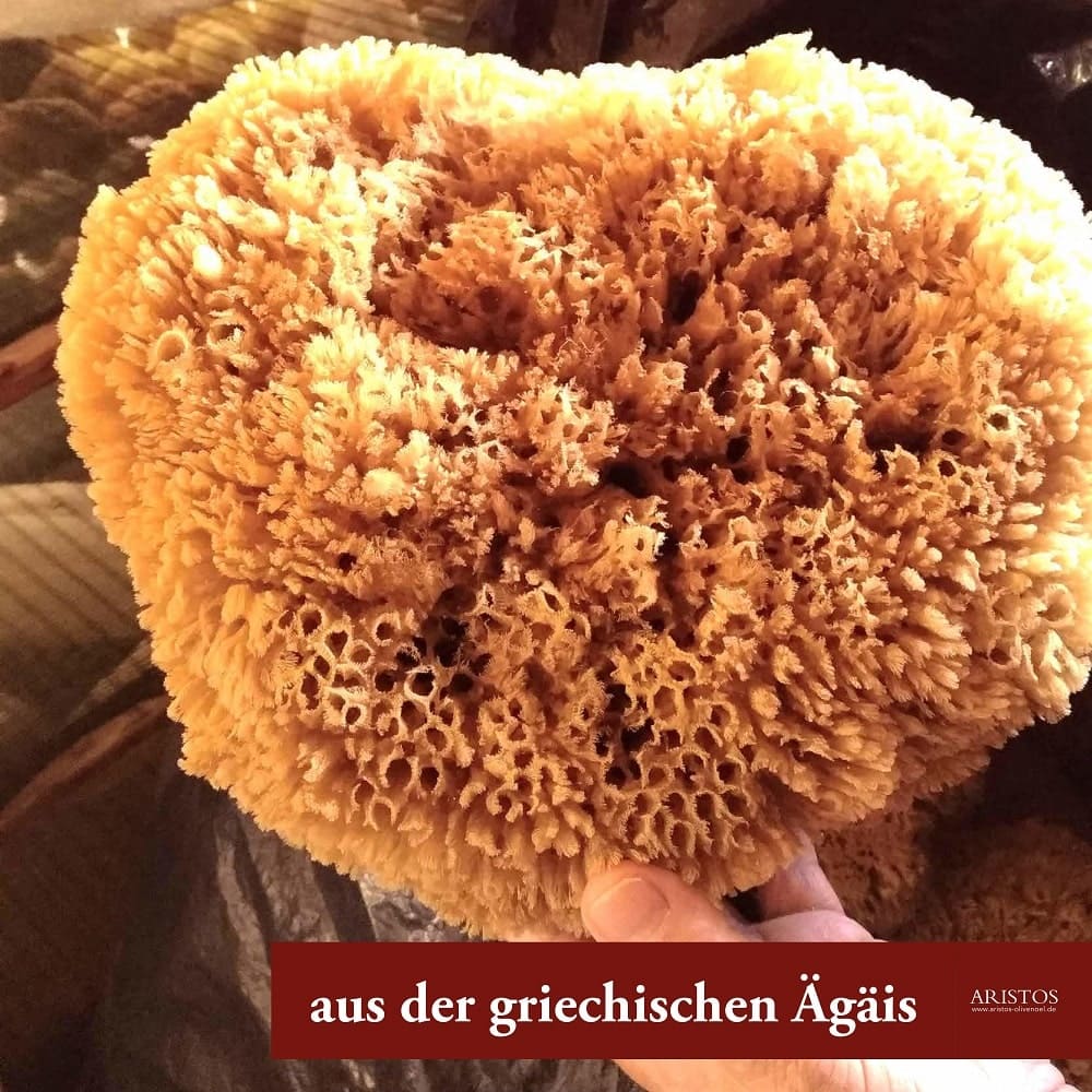Aristos Naturschwamm Ägäis