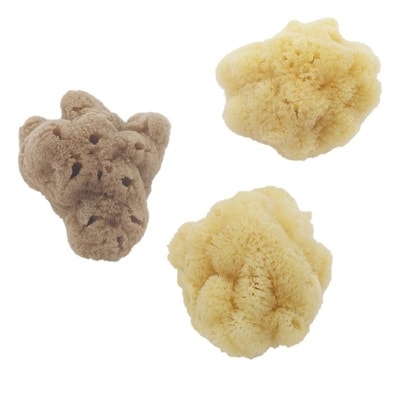 Naturschwamm für die Gesichtsreinigung