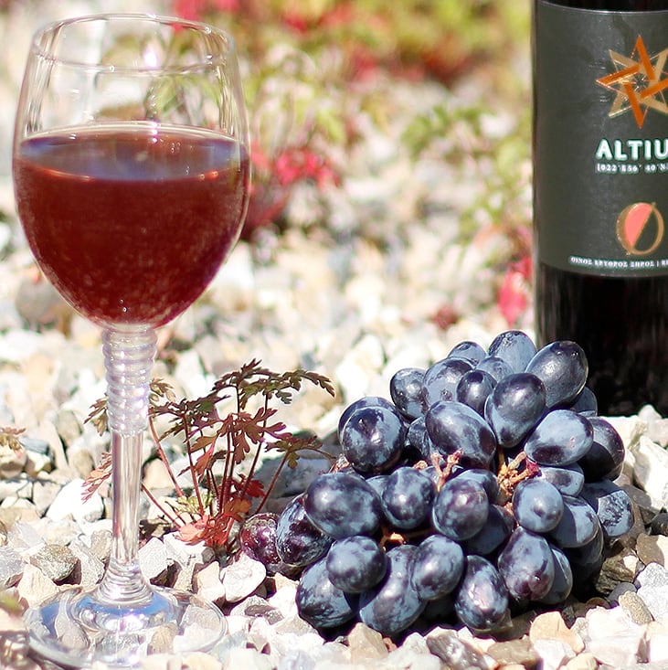Rotwein