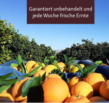 Unbehandelte griechische Orangen jede Woche frisch