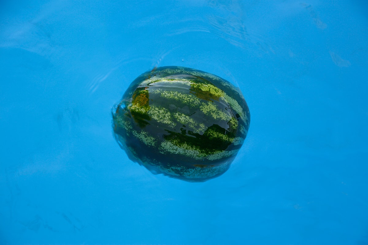 Wassermelone im Pool
